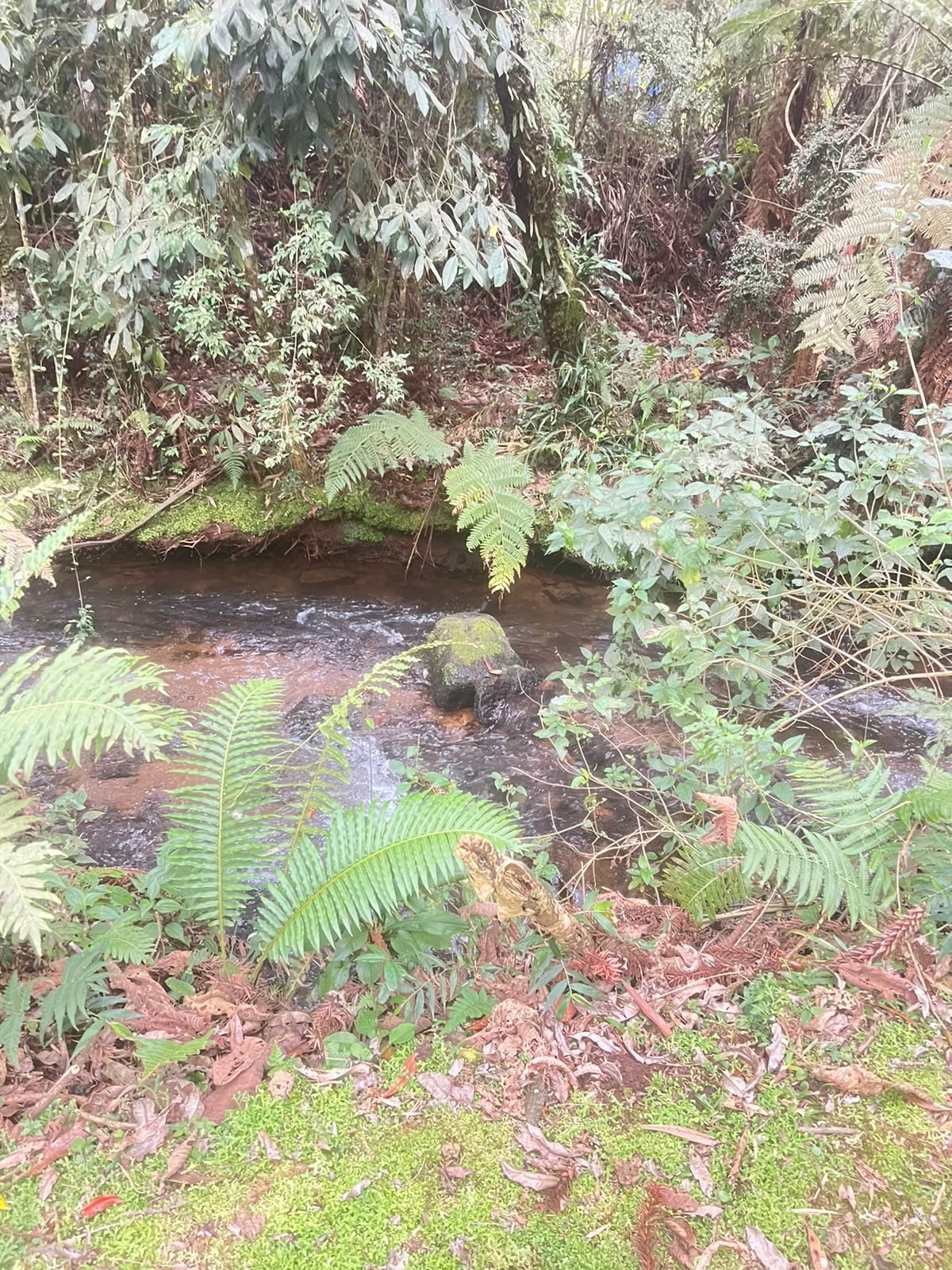 Casa Contemporânea no Campestre - Rio Campestre — foto 38