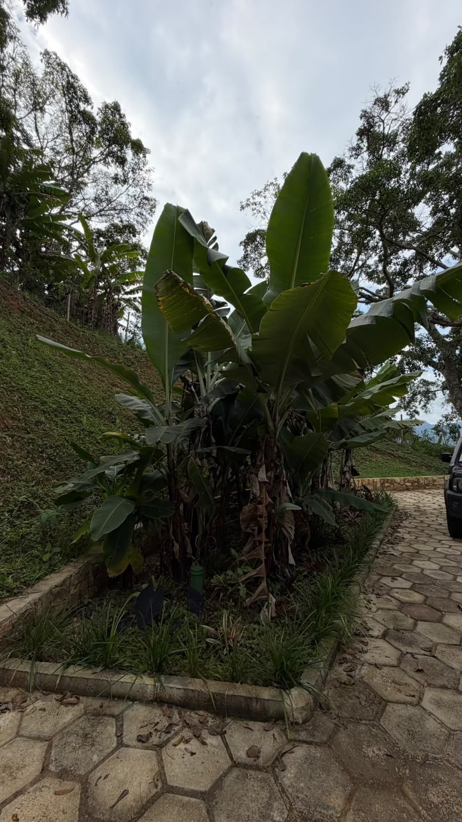 Casa no Condomínio - Vista da mantiqueira — foto 9